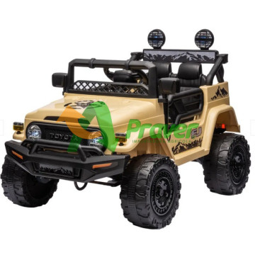 Jeep Arena Toyota Fj...